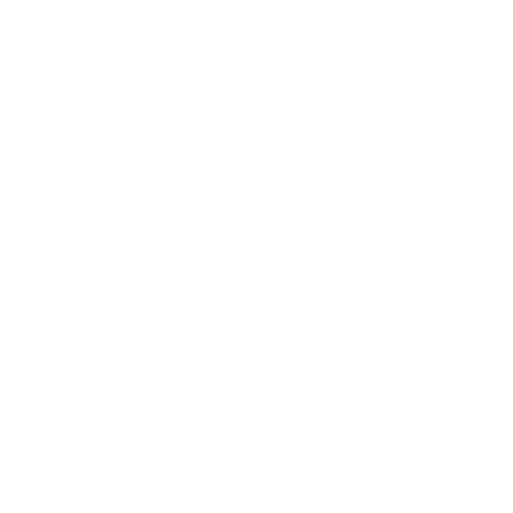 PayPal icon